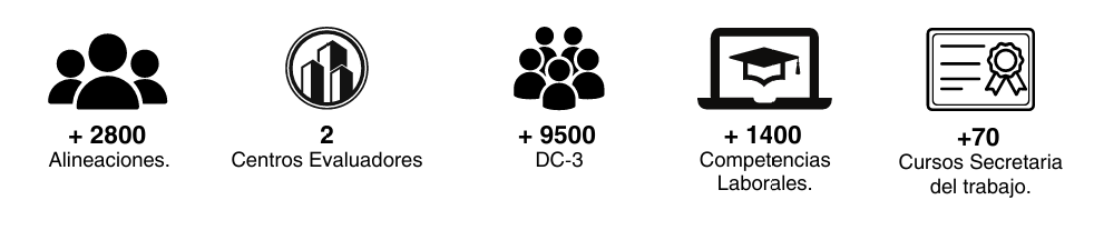 Captura de pantalla 2024-12-13 165104